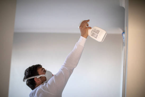 Best Affordable Mold Removal  in Bartlett, IL