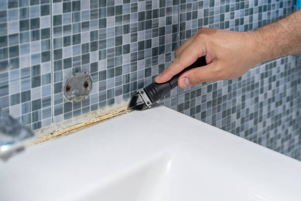 Best Residential Mold Removal  in Bartlett, IL