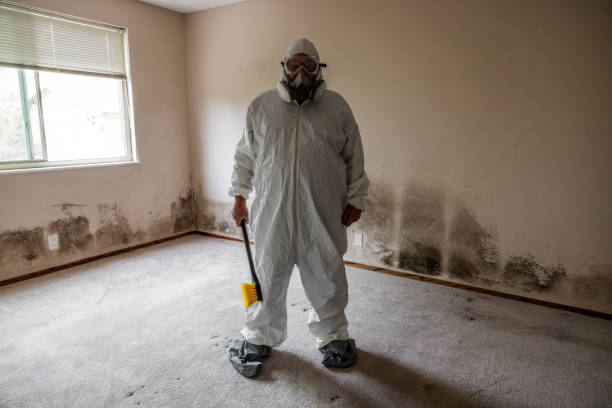 Best Toxic Mold Removal  in Bartlett, IL